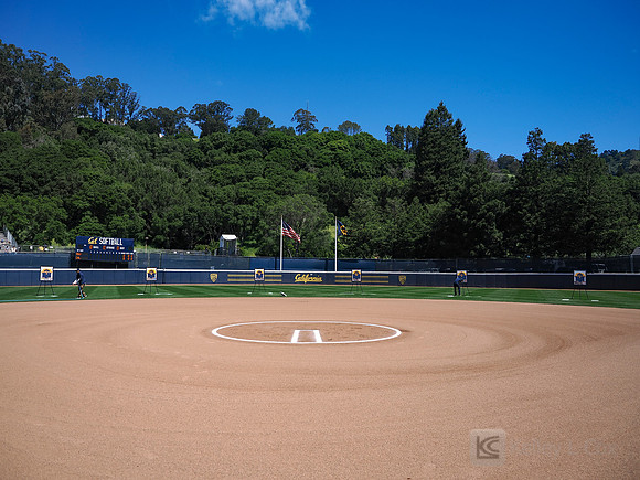 Softball: California Golden Bears vs Oregon State Beavers