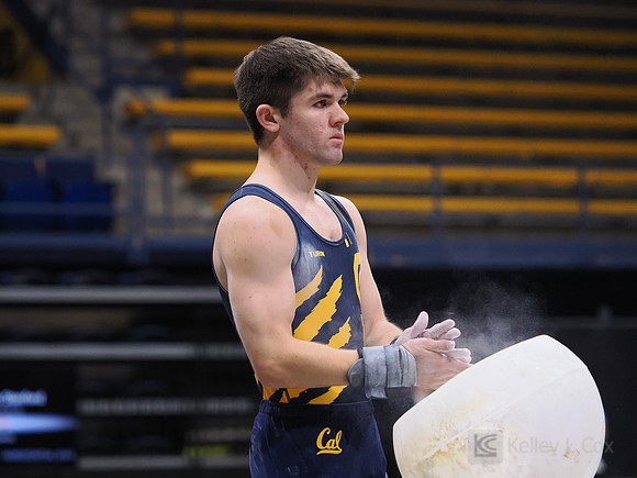 Men’s Gymnastics: California Golden Bears vs Stanford Cardinal