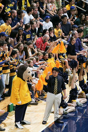 Cal Women's Volleyball vs Stanford