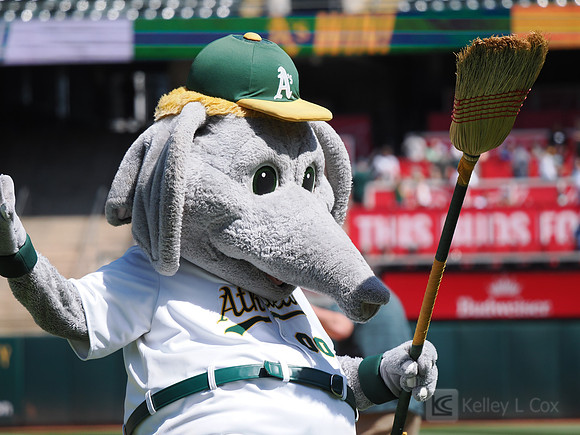 MLB: Pittsburgh Pirates at Oakland Athletics