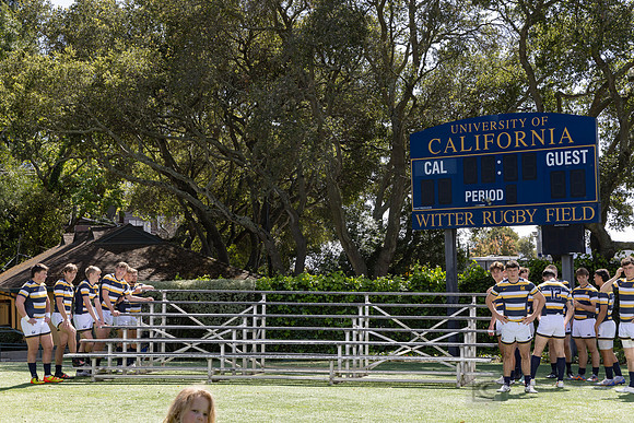 Rugby: California Golden Bears Team