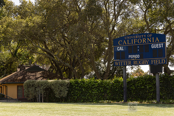 Rugby: California Golden Bears Team