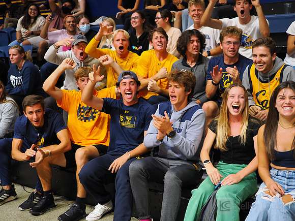 Fans