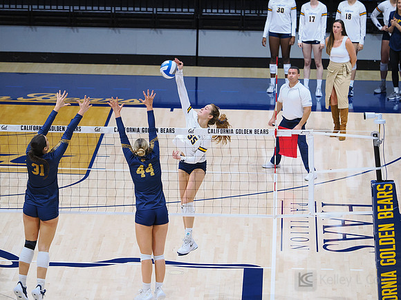 Volleyball: California Golden Bears vs Notre Dame Fighting Irish