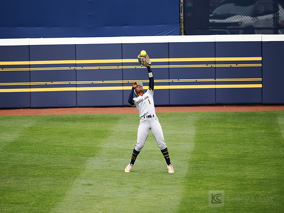 Amani Bradley (1)