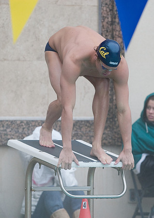 Cal Men's Swimming vs Stanford