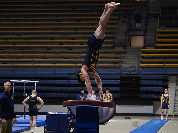 Men’s Gymnastics: California Golden Bears vs Stanford Cardinal