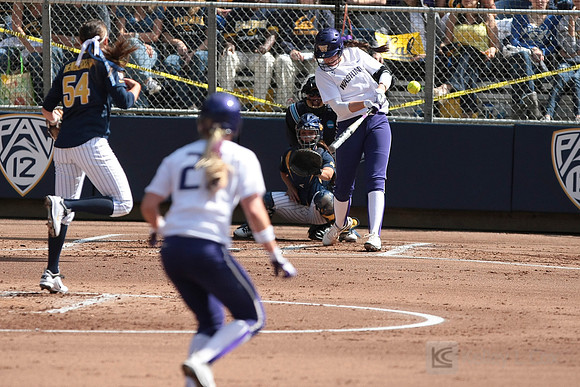 Softball: Washington vs Cal