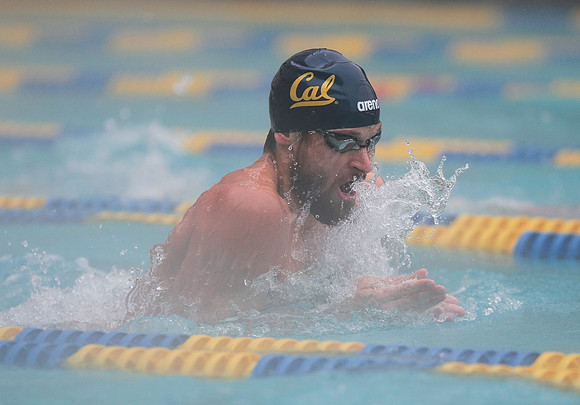 Cal Men's Swimming vs Stanford