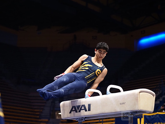 Noah Newfeld