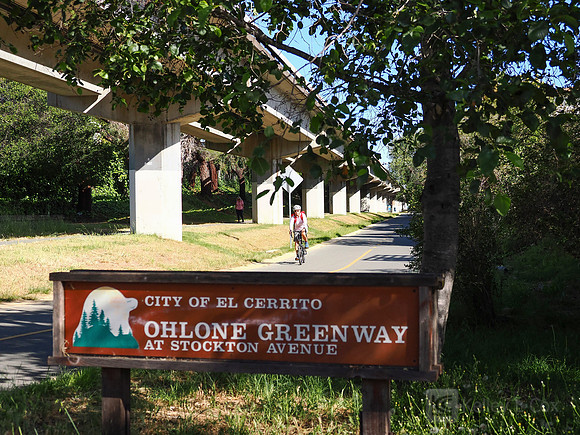City of El Cerrito: Bike to Wherever Days