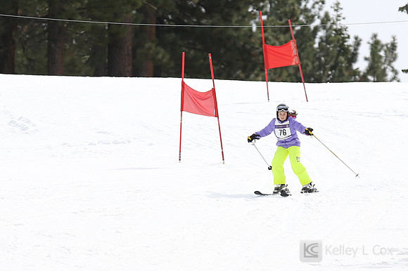 SONC 2015 Winterfest