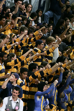 Cal Women's Volleyball vs Stanford