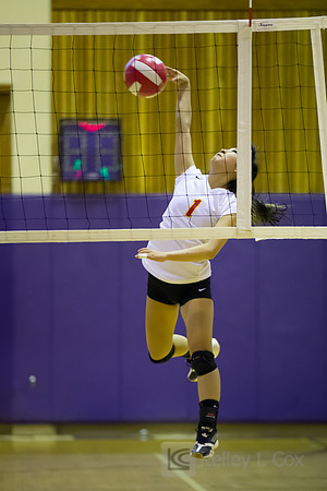 JV Volleyball: Berkeley at Piedmont