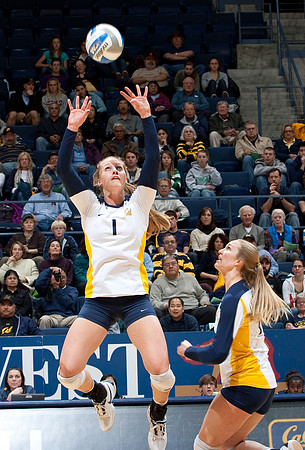 Cal Volleyball vs ASU