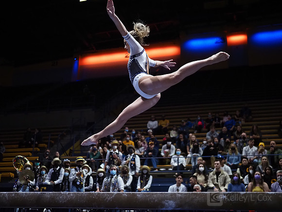 Women’s Gymnastics: California Golden Bears vs Iowa Hawkeyes