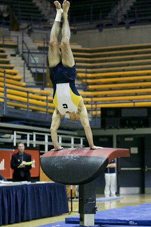 Cal Men's Gymnastics vs Stanford
