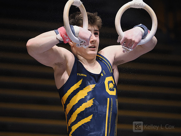 Men’s Gymnastics: California Golden Bears vs Stanford Cardinal