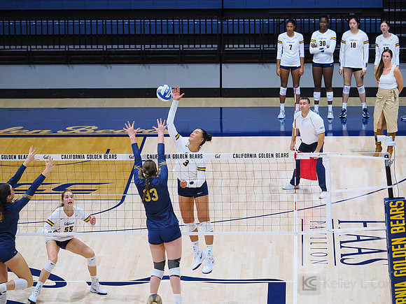 Volleyball: California Golden Bears vs Notre Dame Fighting Irish