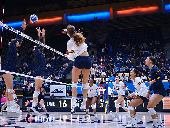 Volleyball: California Golden Bears vs Notre Dame Fighting Irish