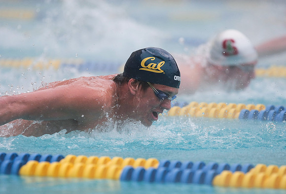 Cal Men's Swimming vs Stanford