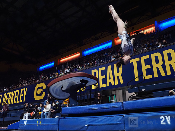 Women’s Gymnastics: California Golden Bears vs Iowa Hawkeyes