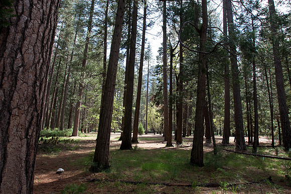 Yosemite 2011