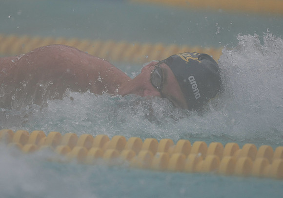 Cal Men's Swimming vs Stanford