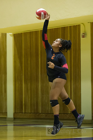 Volleyball: Berkeley at Piedmont