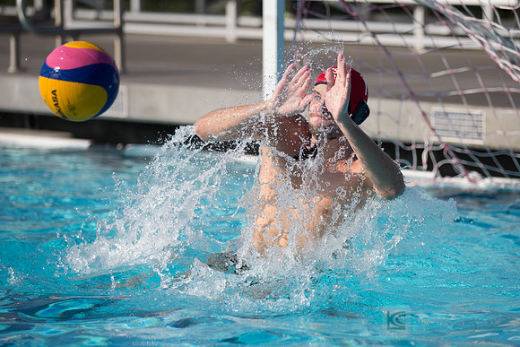 USAWP: Mens National Team