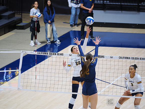 Volleyball: California Golden Bears vs Notre Dame Fighting Irish