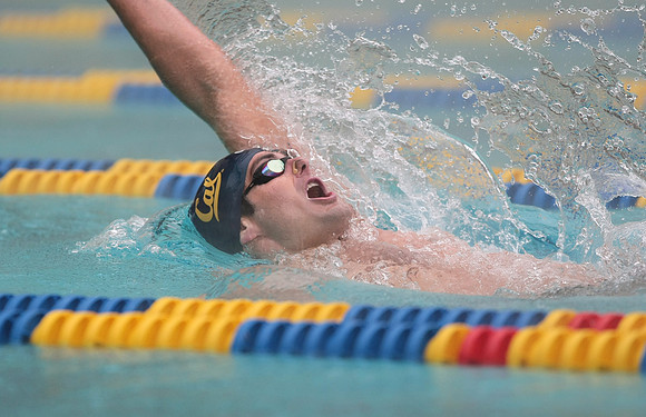 Cal Men's Swimming vs Stanford