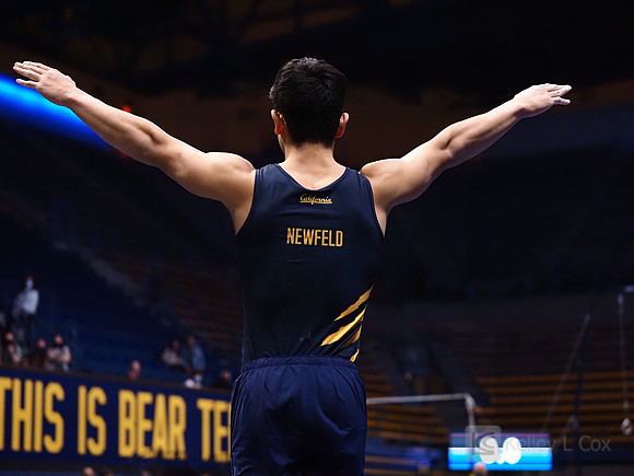 Noah Newfeld