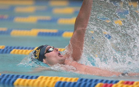 Cal Men's Swimming vs Stanford
