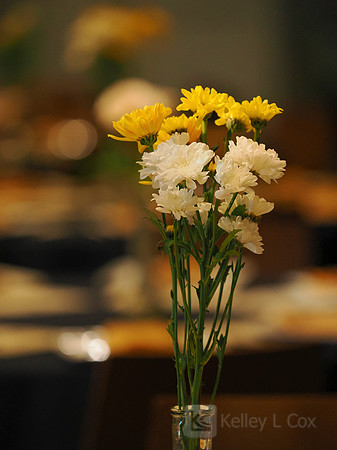 Cal Student Athlete Academic Honors Luncheon