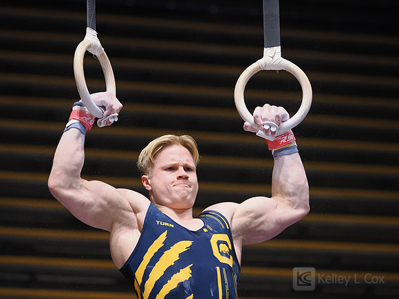 Men’s Gymnastics: California Golden Bears vs Stanford Cardinal
