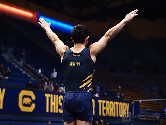 Noah Newfeld