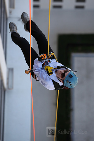 SONV: OTE 2013