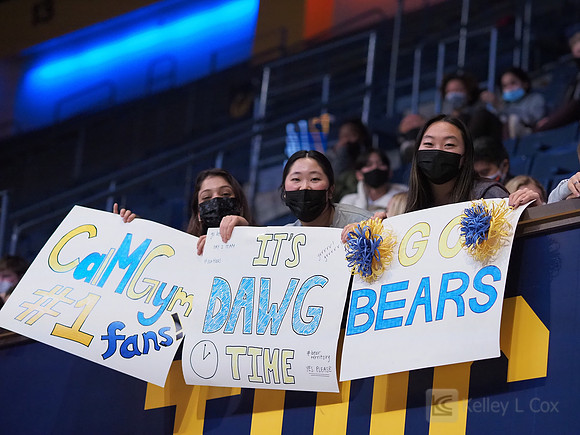 Fans