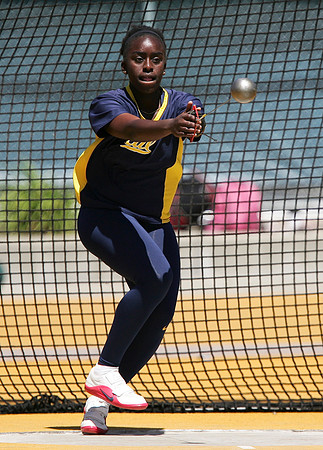 Cal Track & Field Brutus Hamilton