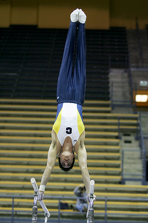 Cal Men's Gymnastics vs Stanford