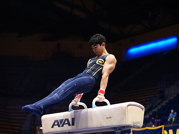 Noah Newfeld