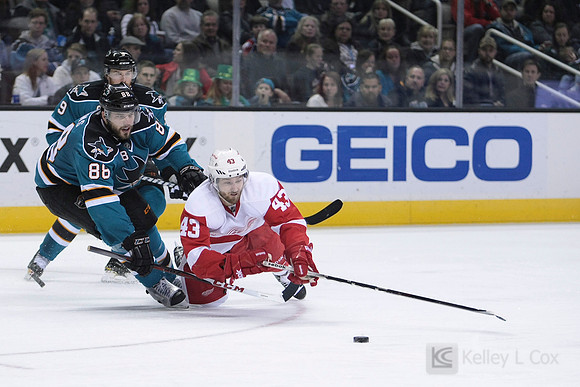 NHL: Detroit Red Wings at San Jose Sharks