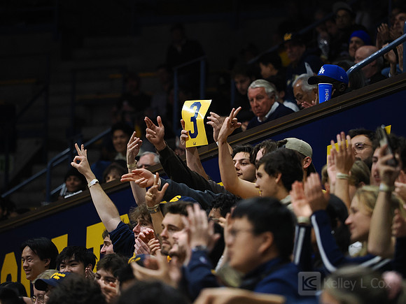 Men’s Basketball: California Golden Bears vs CSU Bakersfield