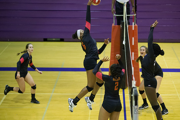 Volleyball: Berkeley at Piedmont