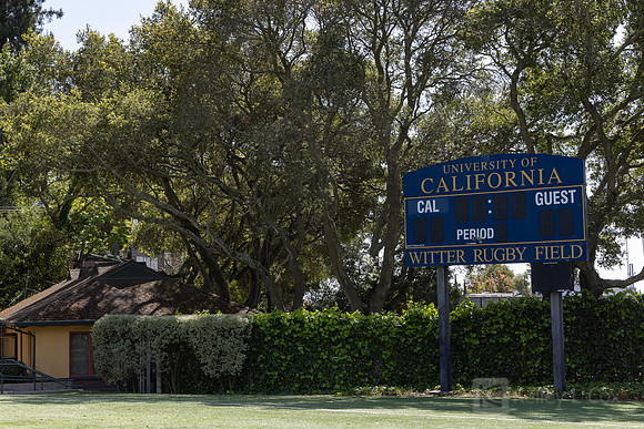 Rugby: California Golden Bears Team