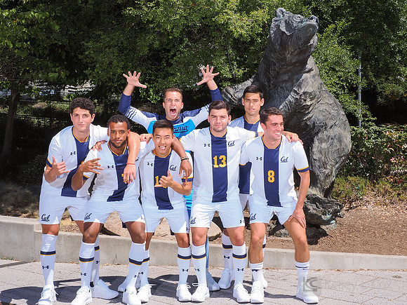 Team