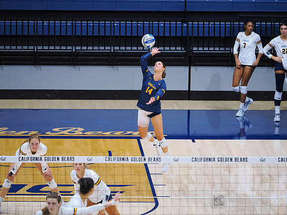 Volleyball: California Golden Bears vs Notre Dame Fighting Irish