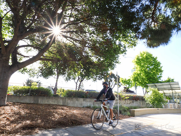 City of El Cerrito: Bike to Wherever Days
