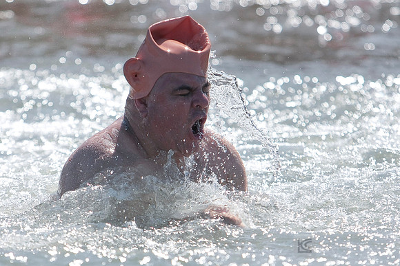 2012 SONC Polar Plunge